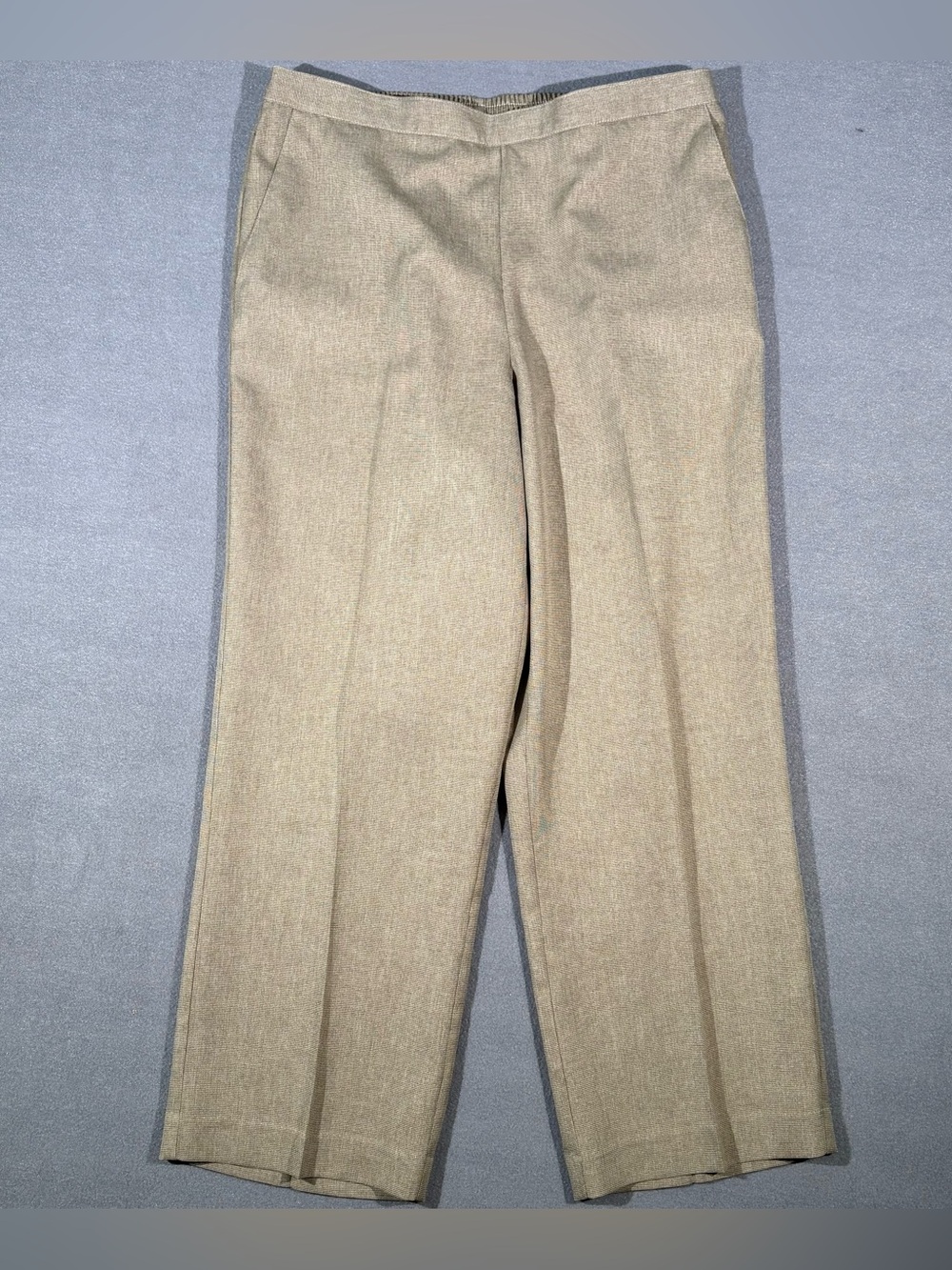 Alfred Dunner Beige Elastic Waist Pull-On Pants Women’s Size 14P